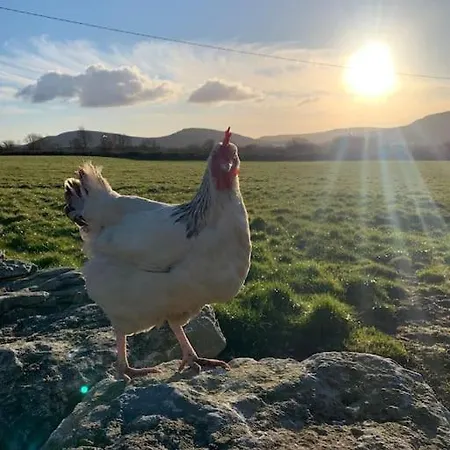 House In The Burren Clare * Droíchead an Chláir