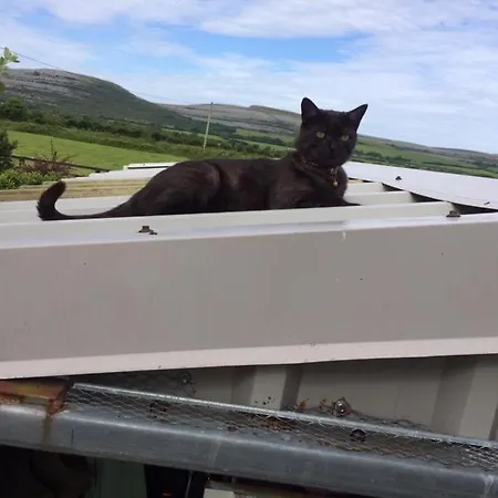 House In The Burren Clare 別荘 Droíchead an Chláir