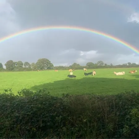 別荘 House In The Burren Clare Droíchead an Chláir