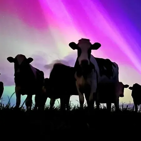 House In The Burren Clare Casa de Férias Droíchead an Chláir